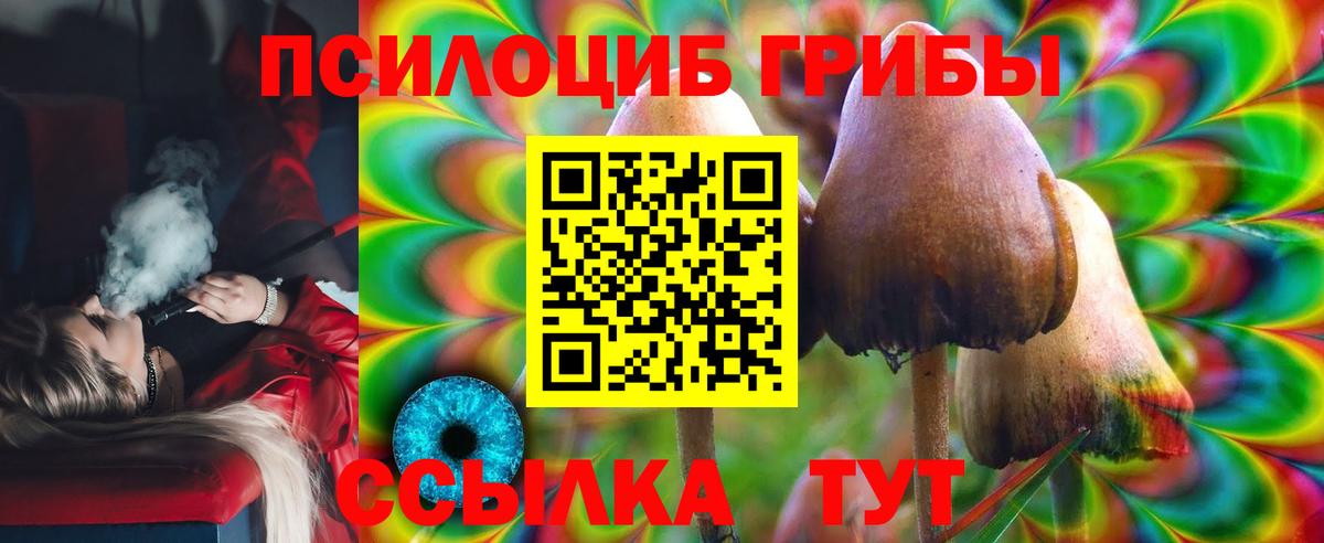 Галлюциногенные грибы Psilocybine cubensis  Псилоцибиновые грибы ЛСД  Вход с VPN  Можайск 